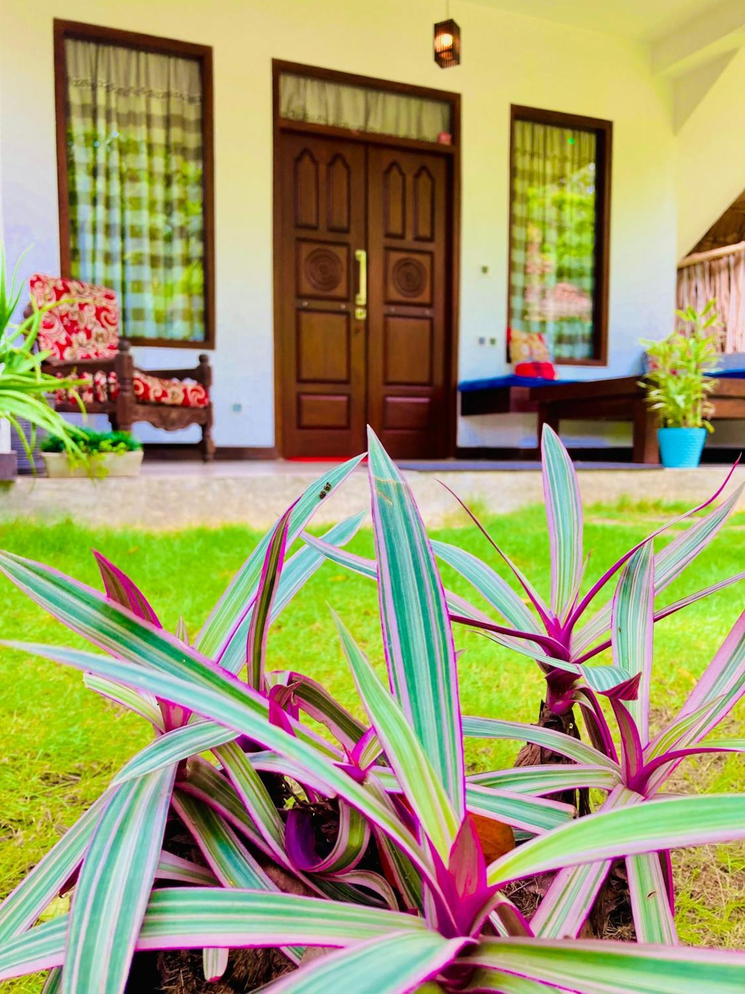 Mountain Seaview Cabanas Hotel Tangalle Exterior foto